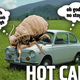 Illustration for article titled Bugs In Austin Wont Stop Pooping On Peoples Cars